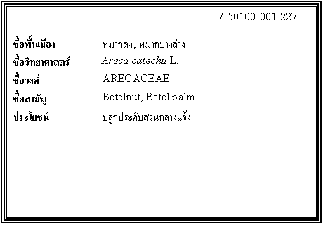 กล่องข้อความ: 7-50100-001-227 ชื่อพื้นเมือง : หมากสง, หมากบางล่าง ชื่อวิทยาศาสตร์ : Areca catechu L. ชื่อวงศ์ : ARECACEAE ชื่อสามัญ : Betelnut, Betel palm ประโยชน์ : ปลูกประดับสวนกลางแจ้ง
